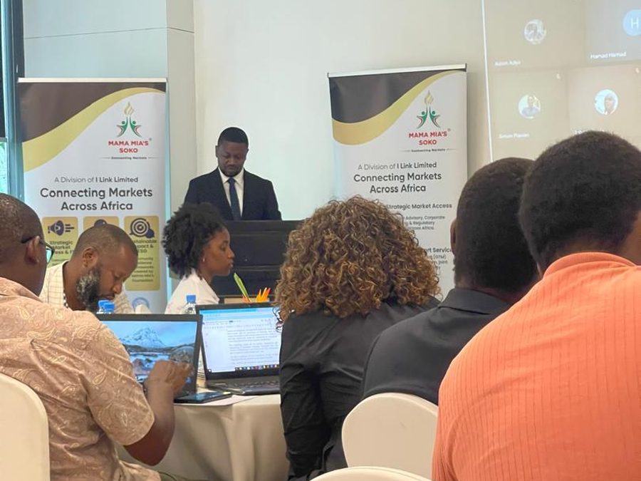 A speaker addressing delegates at the TEE launch